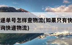 只有快递单号怎样查物流(如果只有快递单号怎么查询快递物流)