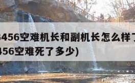 cz3456空难机长和副机长怎么样了(cz3456空难死了多少)