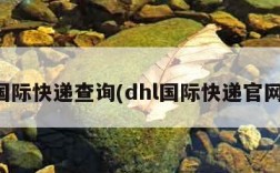 国际快递查询(dhl国际快递官网)