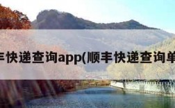 顺丰快递查询app(顺丰快递查询单号)