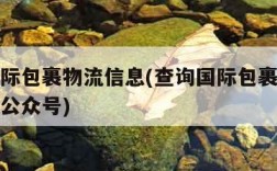 查询国际包裹物流信息(查询国际包裹物流信息微信公众号)