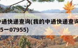 我的中通快递查询(我的中通快递查询单号955一15一07955)